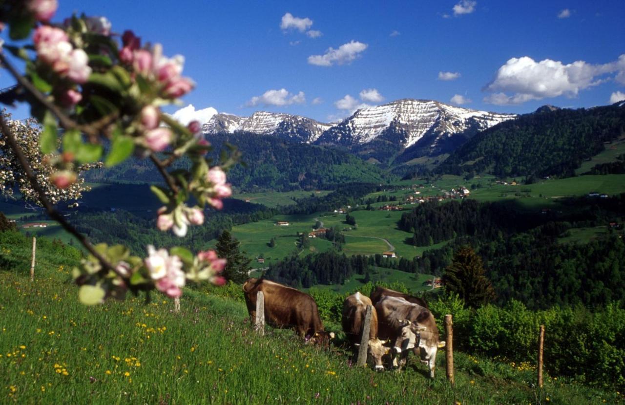 Fewo "Staufen Lodge" Oberstaufen Ngoại thất bức ảnh